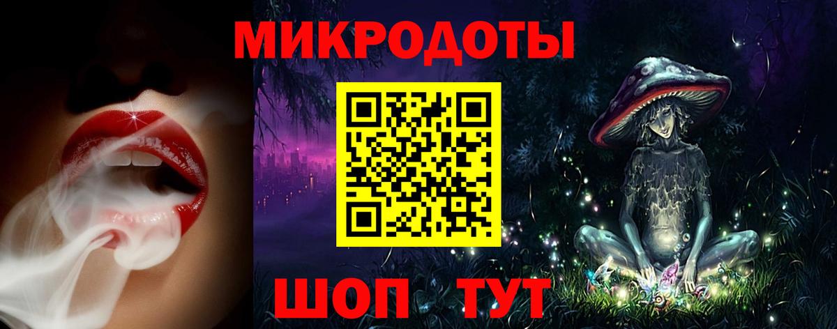 Галлюциногенные грибы Psilocybine cubensis Тихвин